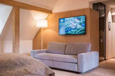 TV/Unterhaltungsangebot in der Unterkunft Gutshotel Menterschwaige - Heritage Boutique Hotel with Timless Elegance