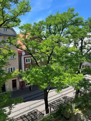 Das Gebäude in dem sich die Ferienwohnung befindet