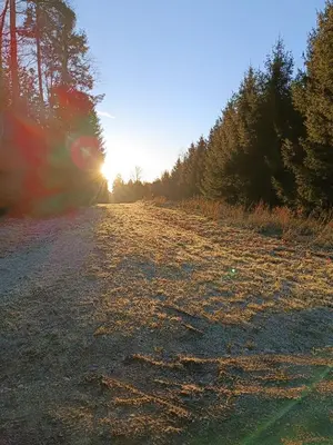 Naturlandschaft in der Nähe der Ferienwohnung
