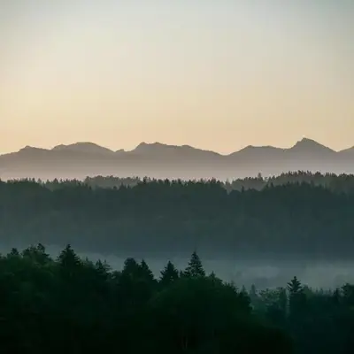 Bio-Landhotel Moarwirt