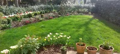 Ein Garten an der Unterkunft Sunny garden flat in Munich
