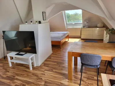 TV/Unterhaltungsangebot in der Unterkunft Dachgeschosswohnung 1 - Apartments am Schloss