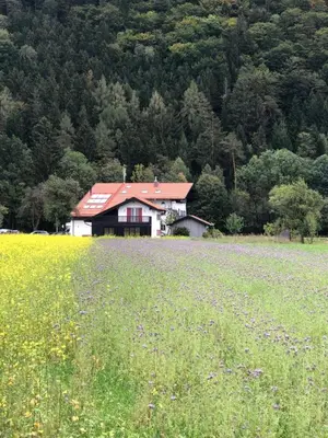 Naturlandschaft in der Nähe des Ferienhauses