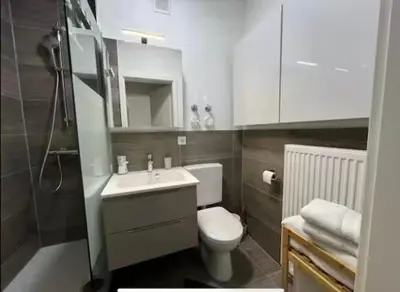Ein Badezimmer in der Unterkunft Old Town Apartment,mit renovierten Bad