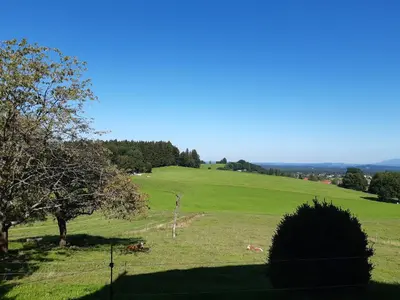 Naturlandschaft in der Nähe des Bauernhofs