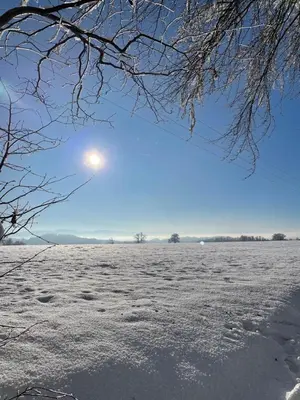 Naturlandschaft in der Nähe der Ferienwohnung