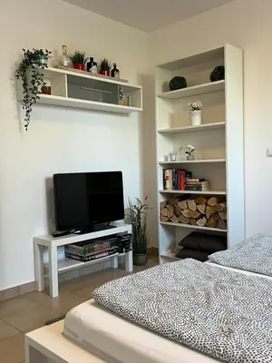 TV/Unterhaltungsangebot in der Unterkunft Schönes Appartement mit Terrasse und nur 5 Min zur SBahn