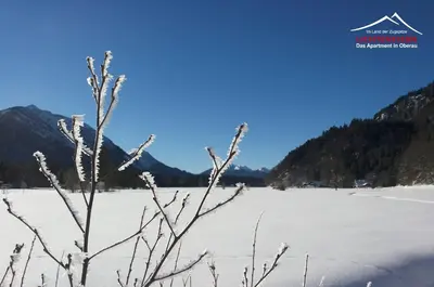 Naturlandschaft in der Nähe der Ferienwohnung