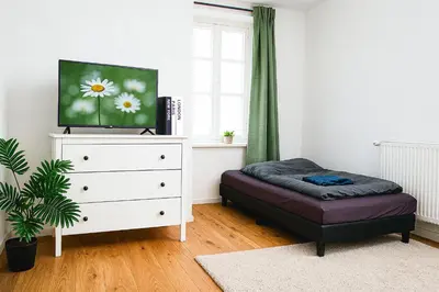 TV/Unterhaltungsangebot in der Unterkunft Zentral und Modern, komfortable Luxuswohnung, Isarnähe