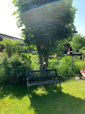 Ein Garten an der Unterkunft Auszeit - Wohnung mit Garten und Bergblick