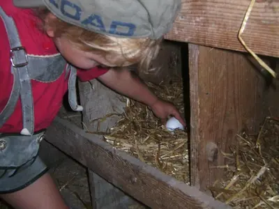 Tiere in der Ferienwohnung oder in der Nähe