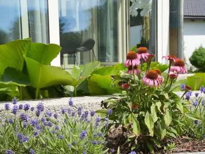 Ein Garten an der Unterkunft Bergblick Prien Comfortable holiday residence