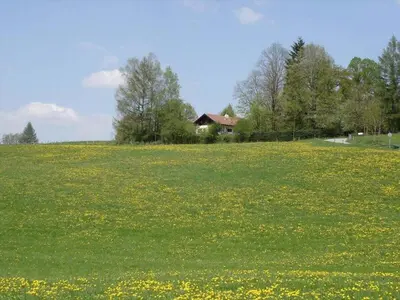 Naturlandschaft in der Nähe des Ferienhauses