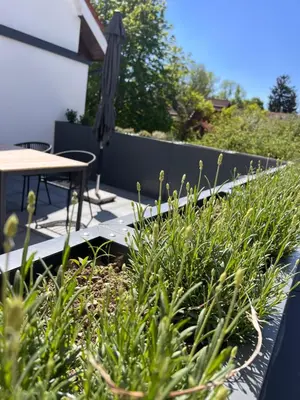 Ein Garten an der Unterkunft Fünf-Seen-Retreat