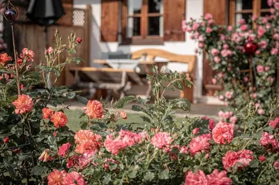 Grundriss der Unterkunft Ferienwohnungen Priller