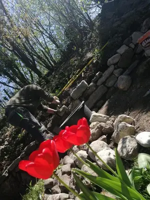 Ein Garten an der Unterkunft Der Aicher zu Chieming