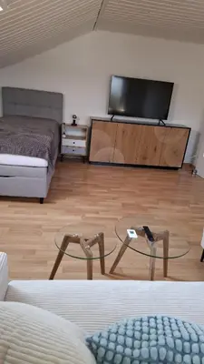 TV/Unterhaltungsangebot in der Unterkunft Lion Flat 2 Zimmer Wohnung in Vohburg mit Büro