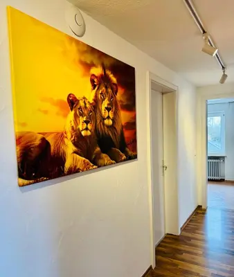 Grundriss der Unterkunft Lion Flat 2 Zimmer Wohnung in Vohburg mit Büro