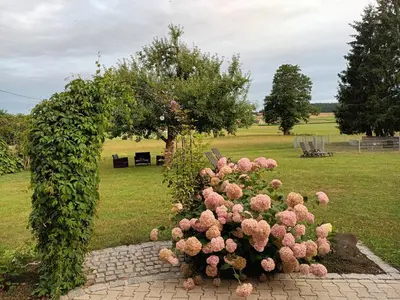 Ein Garten an der Unterkunft Apartement Nähe München