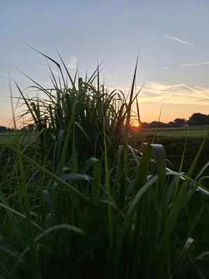 Blick auf den Sonnenuntergang/Sonnenaufgang von der Ferienwohnung aus oder aus der Nähe