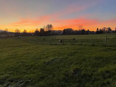 Blick auf den Sonnenuntergang/Sonnenaufgang von der Ferienwohnung aus oder aus der Nähe