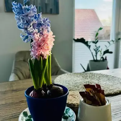 gemütliche Ferienwohnung mit Garten