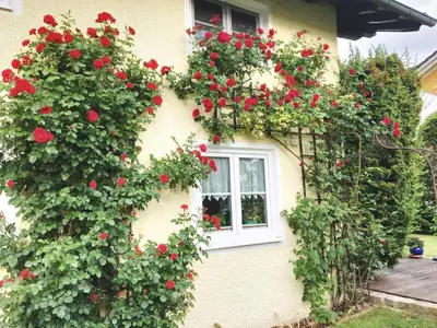 Ein Garten an der Unterkunft Prestige-Apartment-Chiemsee