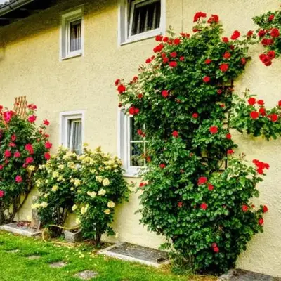 Prestige-Apartment-Chiemsee