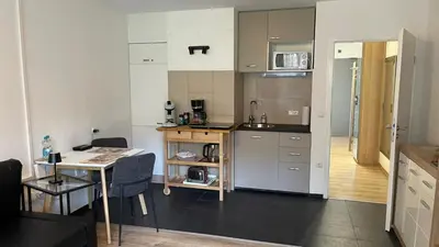 Küche/Küchenzeile in der Unterkunft Lindenhof Apartment 10