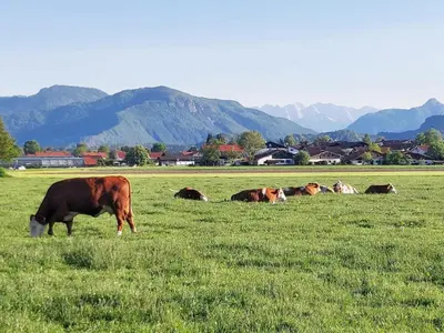 Tiere in diesem Bauernhof oder in der Nähe