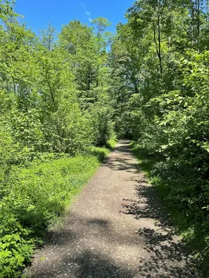 Naturlandschaft in der Nähe der Ferienwohnung
