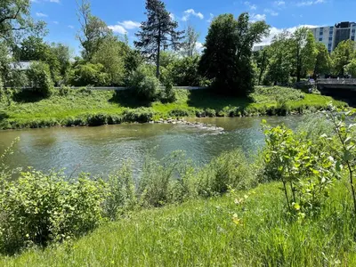 Naturlandschaft in der Nähe der Ferienwohnung