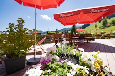 Ein Garten an der Unterkunft Almgasthof Grafenherberg