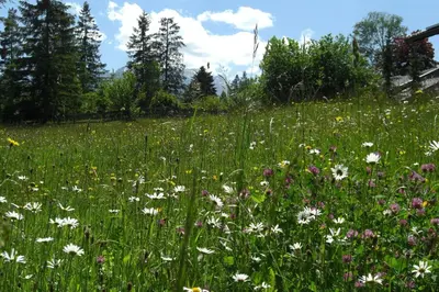 Naturlandschaft in der Nähe der Ferienwohnung