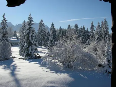 Almenhof Neuner im Winter