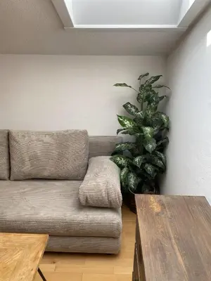 Ein Sitzbereich in der Unterkunft Ferienwohnung am Mühlbach