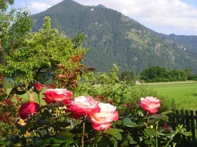 Ein allgemeiner Bergblick oder ein Berglick von der Ferienwohnung aus