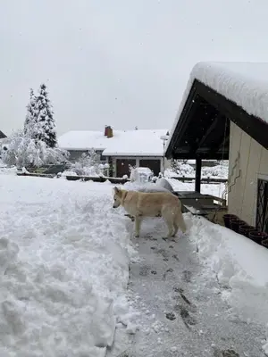 Sonnenhang Bayern im Winter