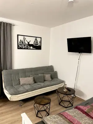 TV/Unterhaltungsangebot in der Unterkunft Cozy studio in Garmisch, central, mountain view