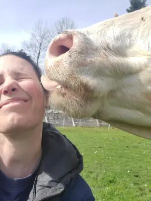 Tiere in der Ferienwohnung oder in der Nähe