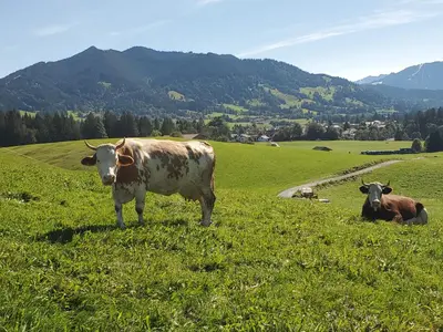 Naturlandschaft in der Nähe der Ferienwohnung