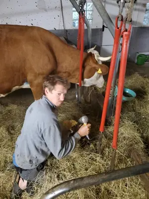 Tiere in der Ferienwohnung oder in der Nähe