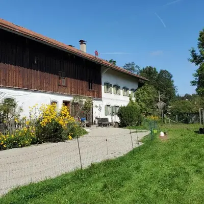Biohof Dimper - HühnerNest
