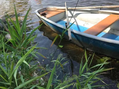 Blick auf einen Fluss in der Nähe der Ferienwohnung