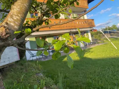 Ein Garten an der Unterkunft Gästehaus zum Stricker, Eckweg 9