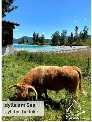 Naturlandschaft in der Nähe der Ferienwohnung