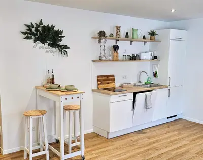 Küche/Küchenzeile in der Unterkunft Altstadt INsel - workaction - free parking - Audi - Balkon - Aufzug