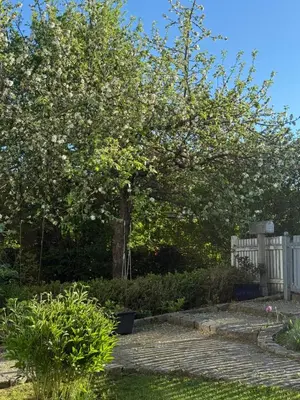Ein Garten an der Unterkunft Wohlfühldomizil