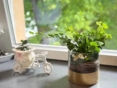 Ein Garten an der Unterkunft FerienNest Traunreut