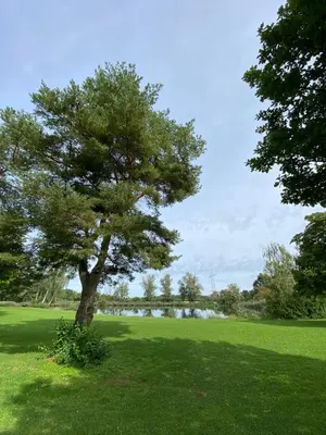 Naturlandschaft in der Nähe der Ferienwohnung